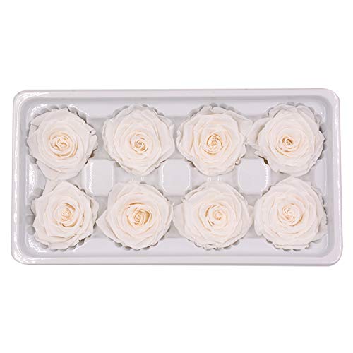 8 weiße Rosen je 4-5 cm Durchmesser