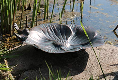 Boden-Vogeltränke