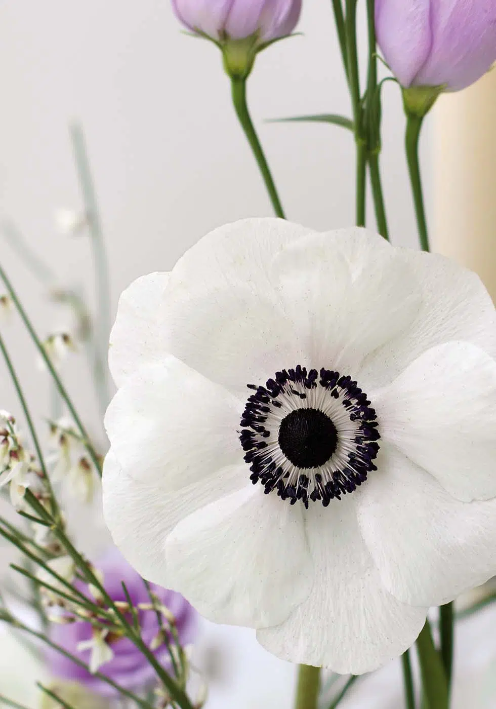 Hochzeitsblumen Anemone