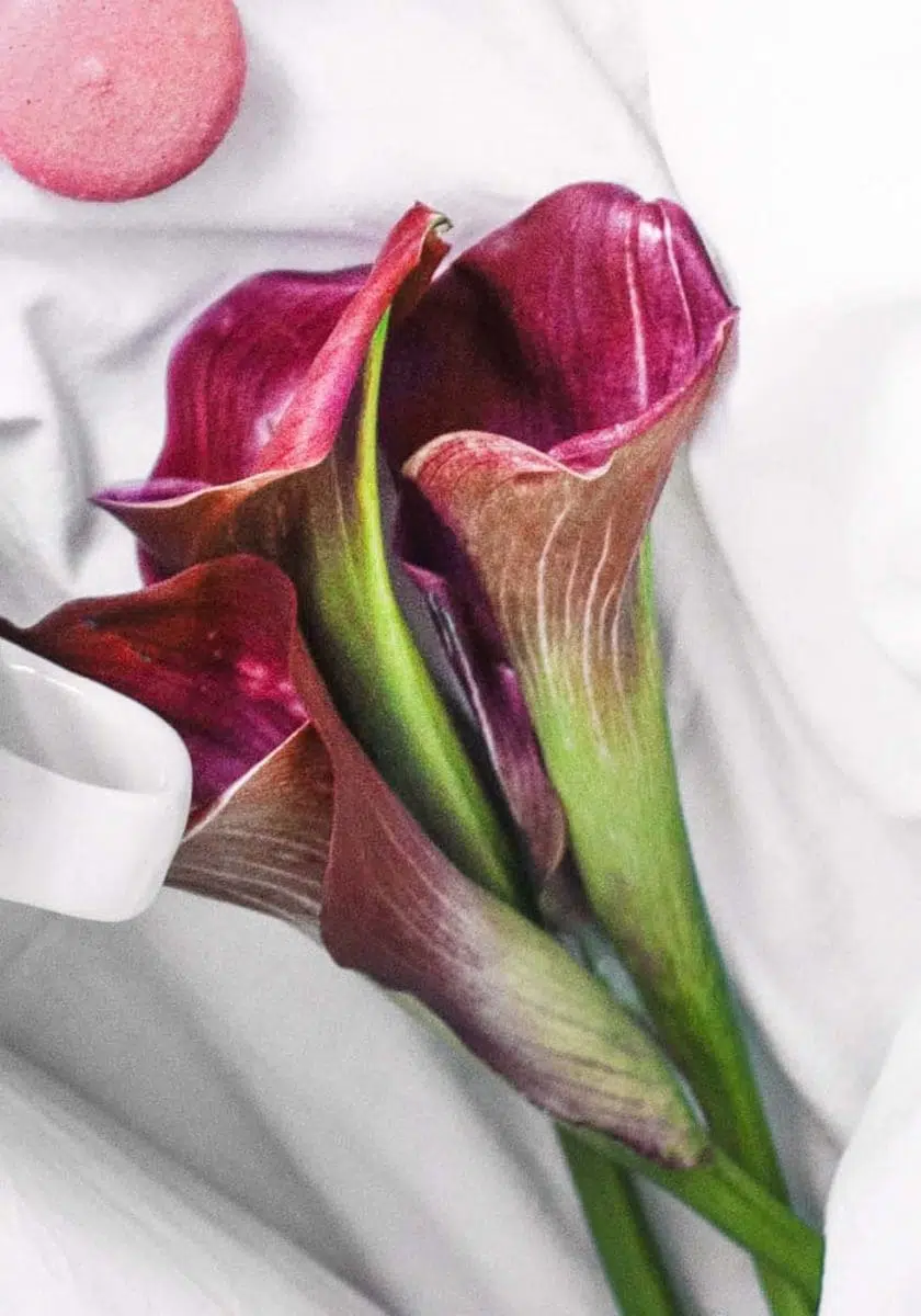 Hochzeitsblumen Calla