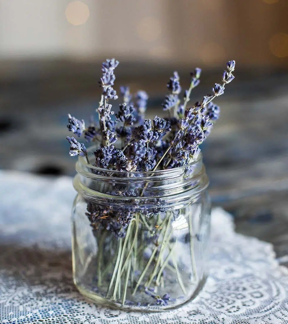 Hochzeitsblumen Lavendel