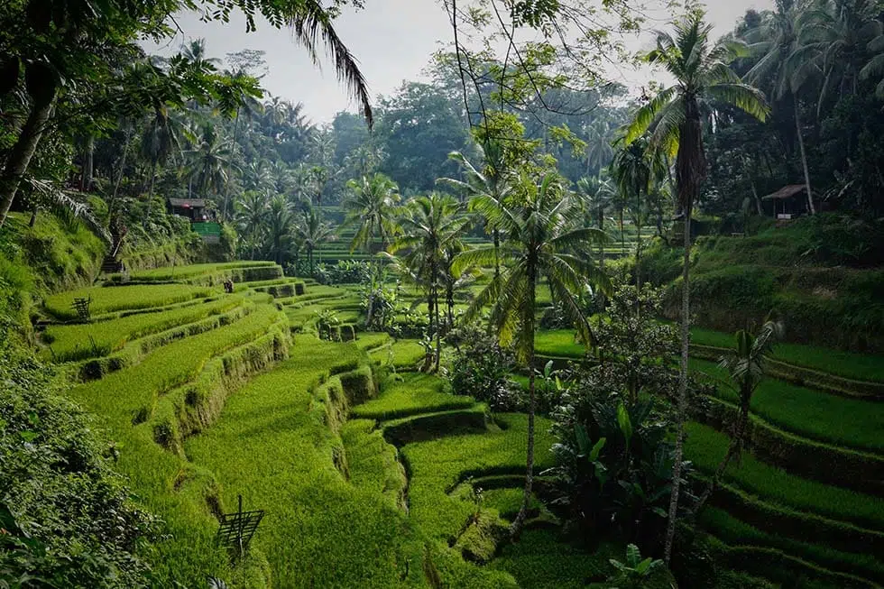 Heiraten auf Bali