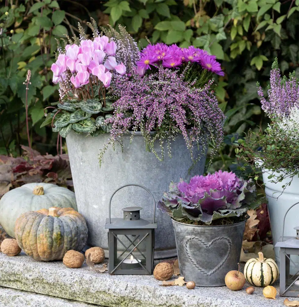 Hochzeitstagsgeschenk statt Blumen